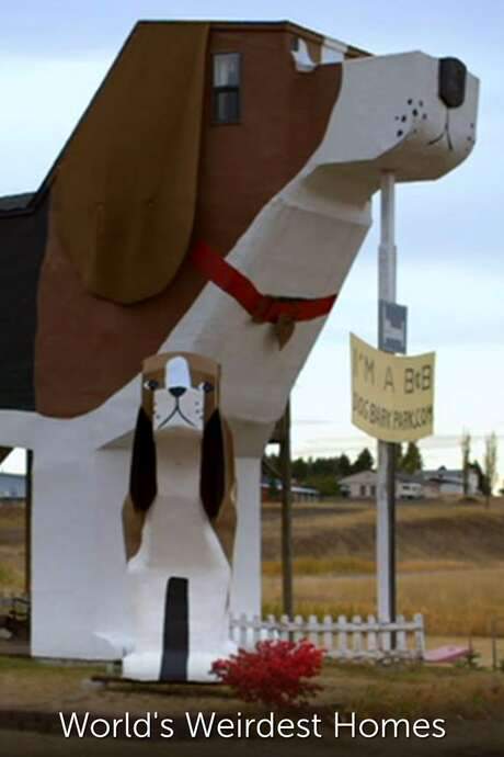 World’s Weirdest Homes